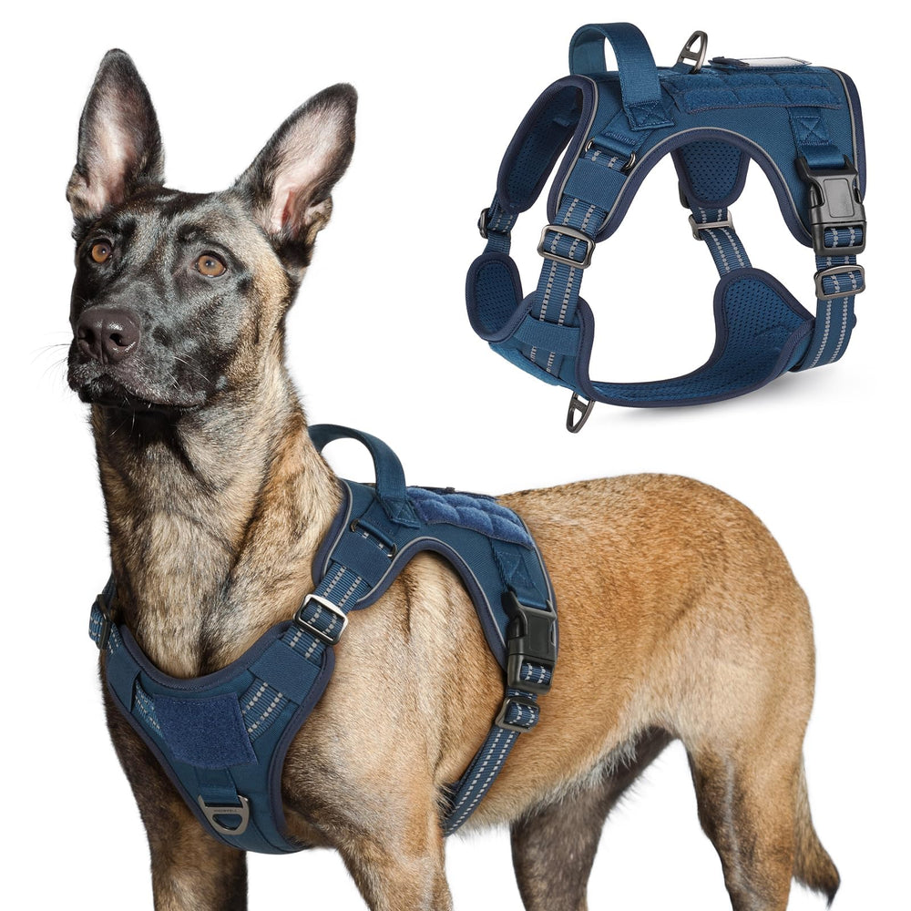 Harnais rabbitgoo tactique pour chien grand – vue globale, confort et sécurité.