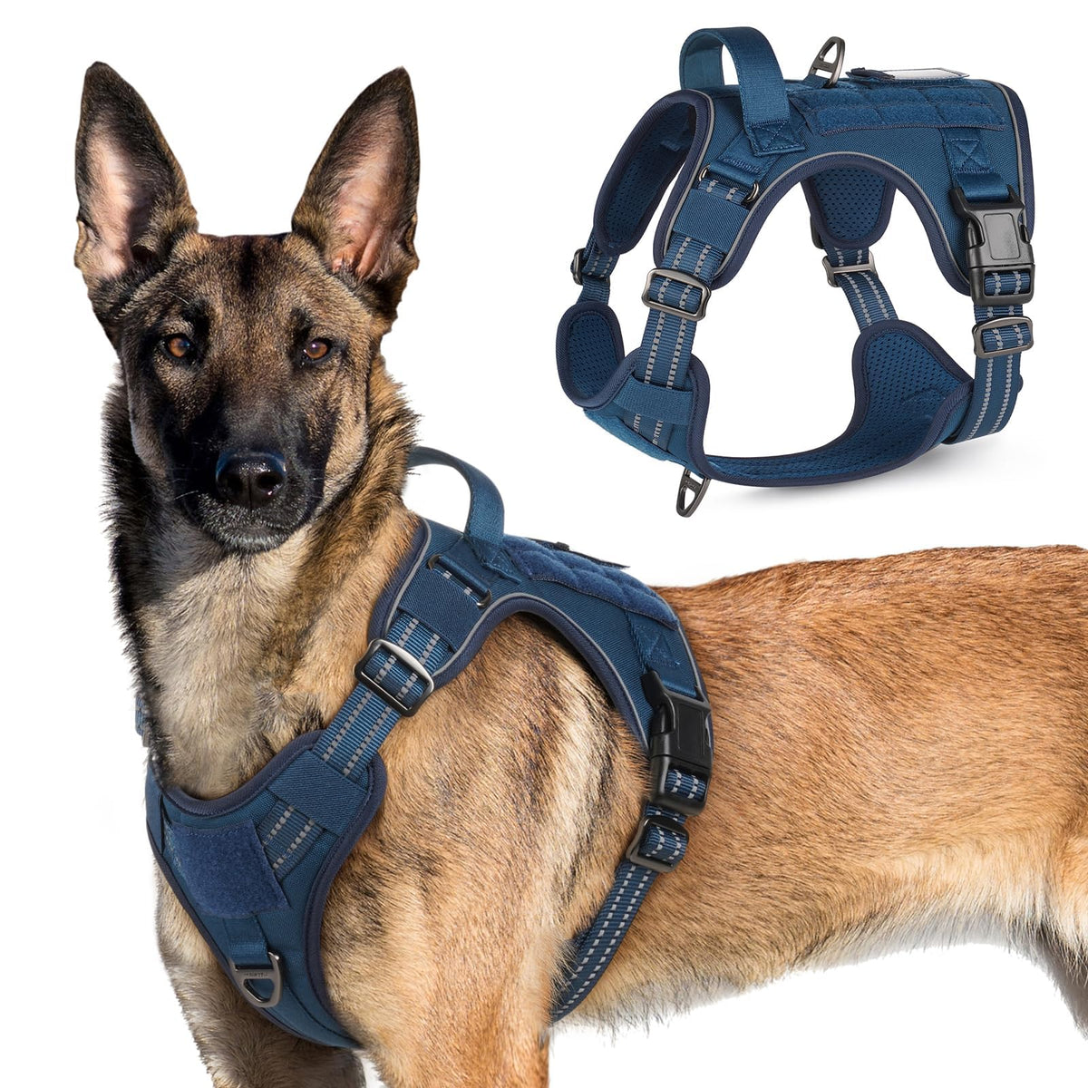 Harnais rabbitgoo tactique pour chien grande taille avec poignée pour un contrôle accru