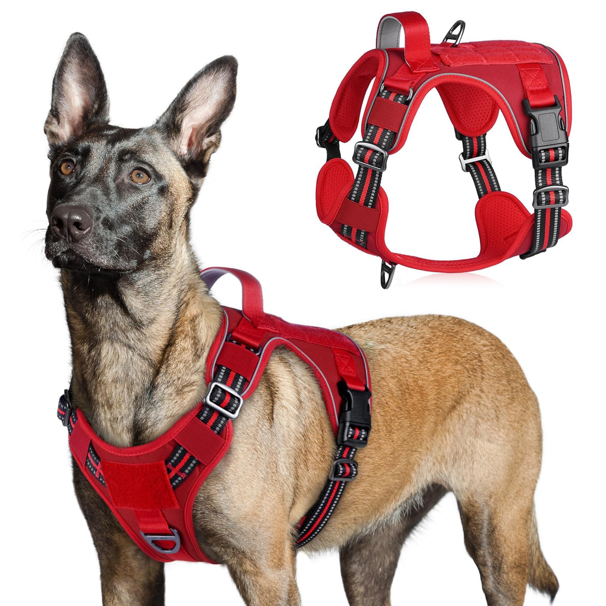 Harnais rabbitgoo grand chien avec poignée et MOLLE pour un contrôle sûr lors des promenades.