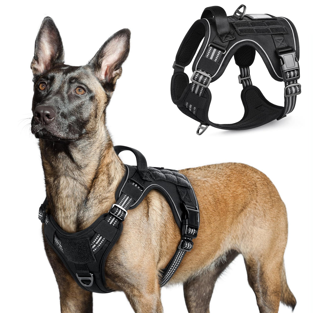 Harnais Rabbitgoo pour grands chiens – vue face, ajustement facile pour des promenades rapides.