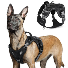 Harnais Rabbitgoo pour grands chiens – vue face, ajustement facile pour des promenades rapides.