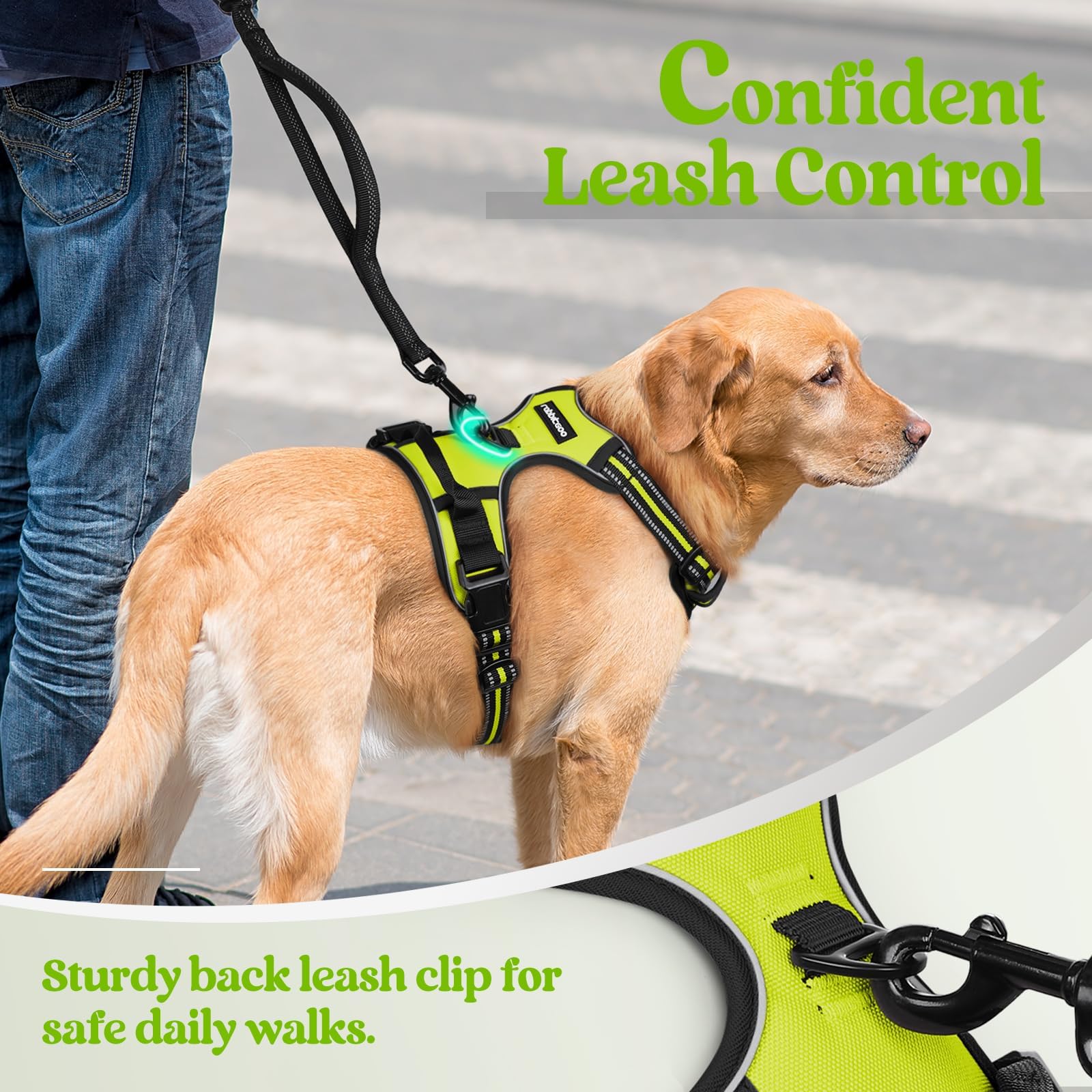Harnais rabbitgoo ventilation maille pour garder le chien au frais.
