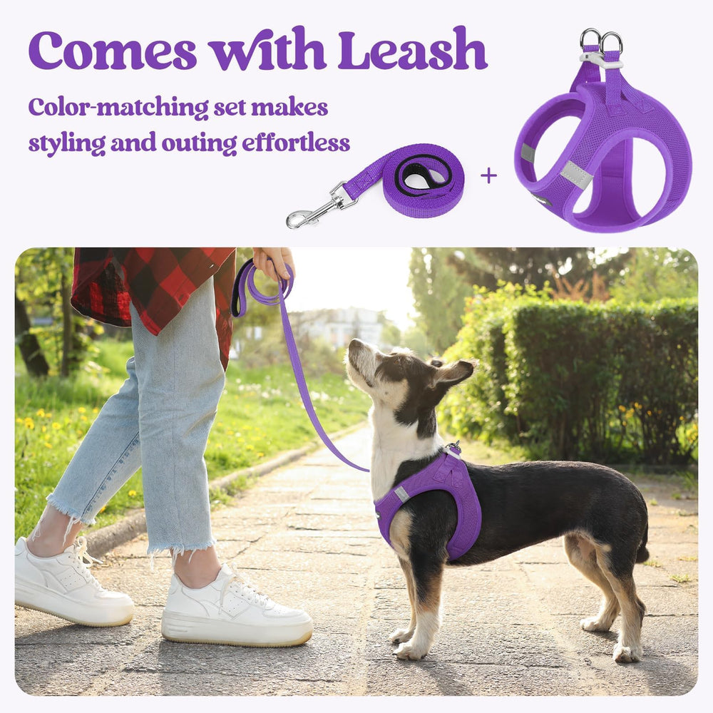Laisse Rabbitgoo avec attache anti-entortillement pour des sorties sans enchevêtrements
