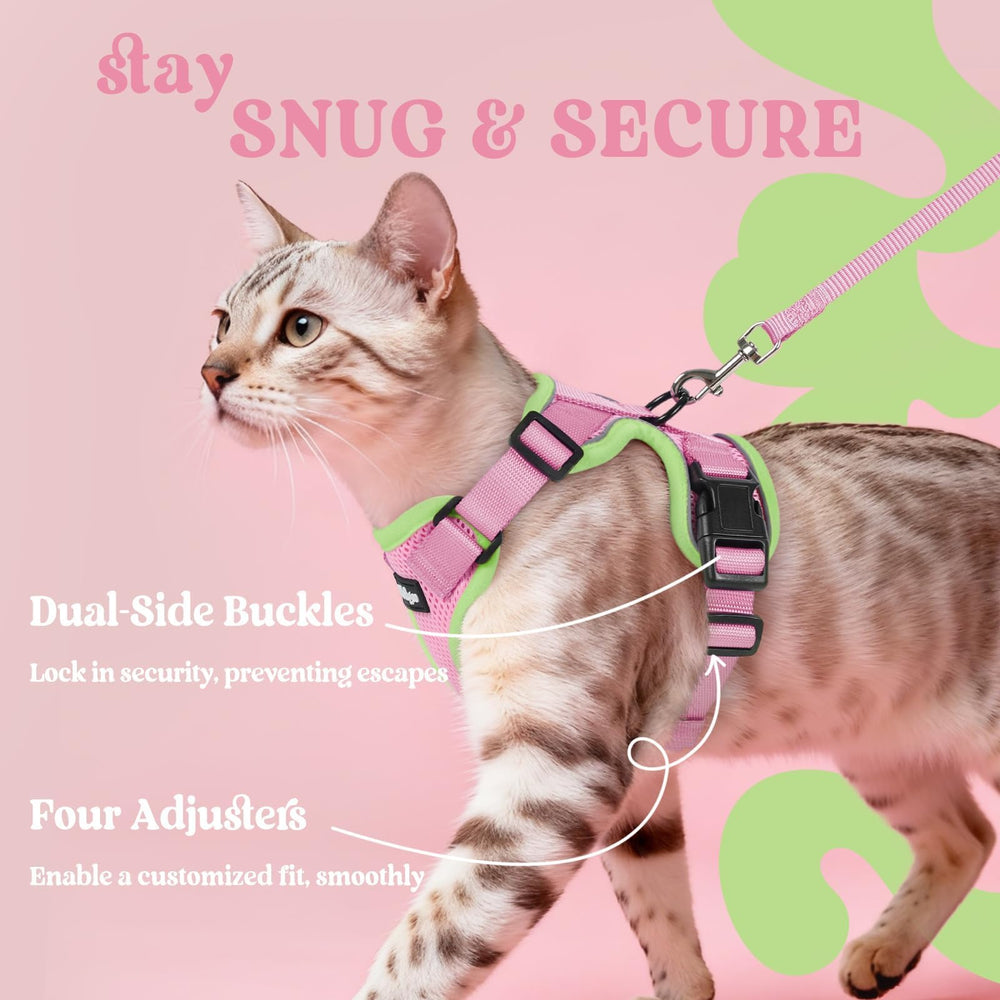 Rabbitgoo laisse chat fournie pour promenade flexible