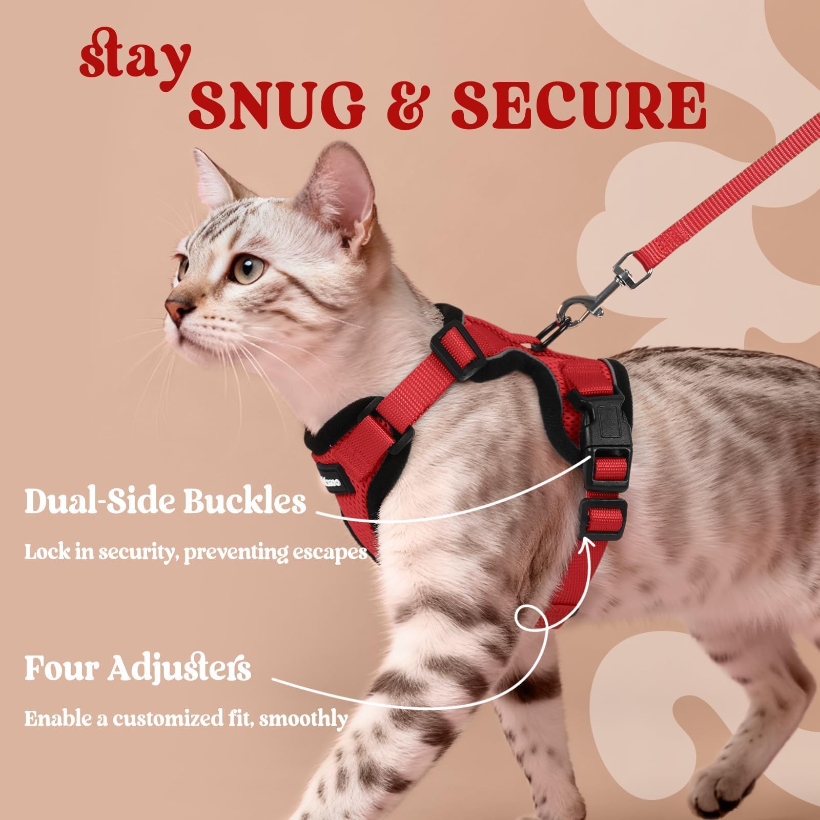 Rabbitgoo laisse chat longueur 1,5 m incluse pour vos sorties