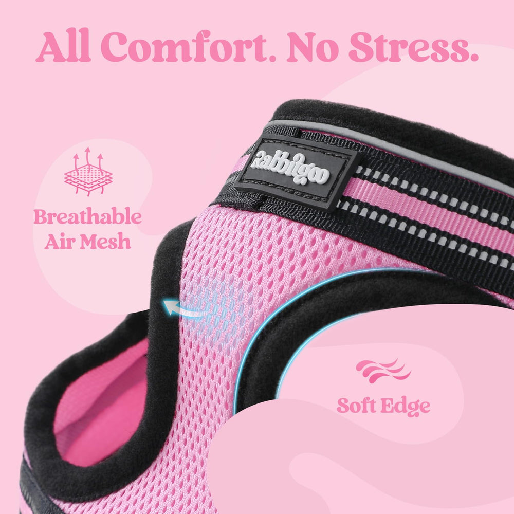 Laisse Rabbitgoo de 59 pouces pour longues promenades