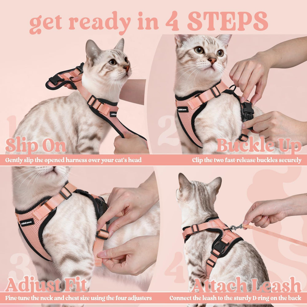Usage quotidien Rabbitgoo harnais-chat, parfait pour intérieur et sorties.