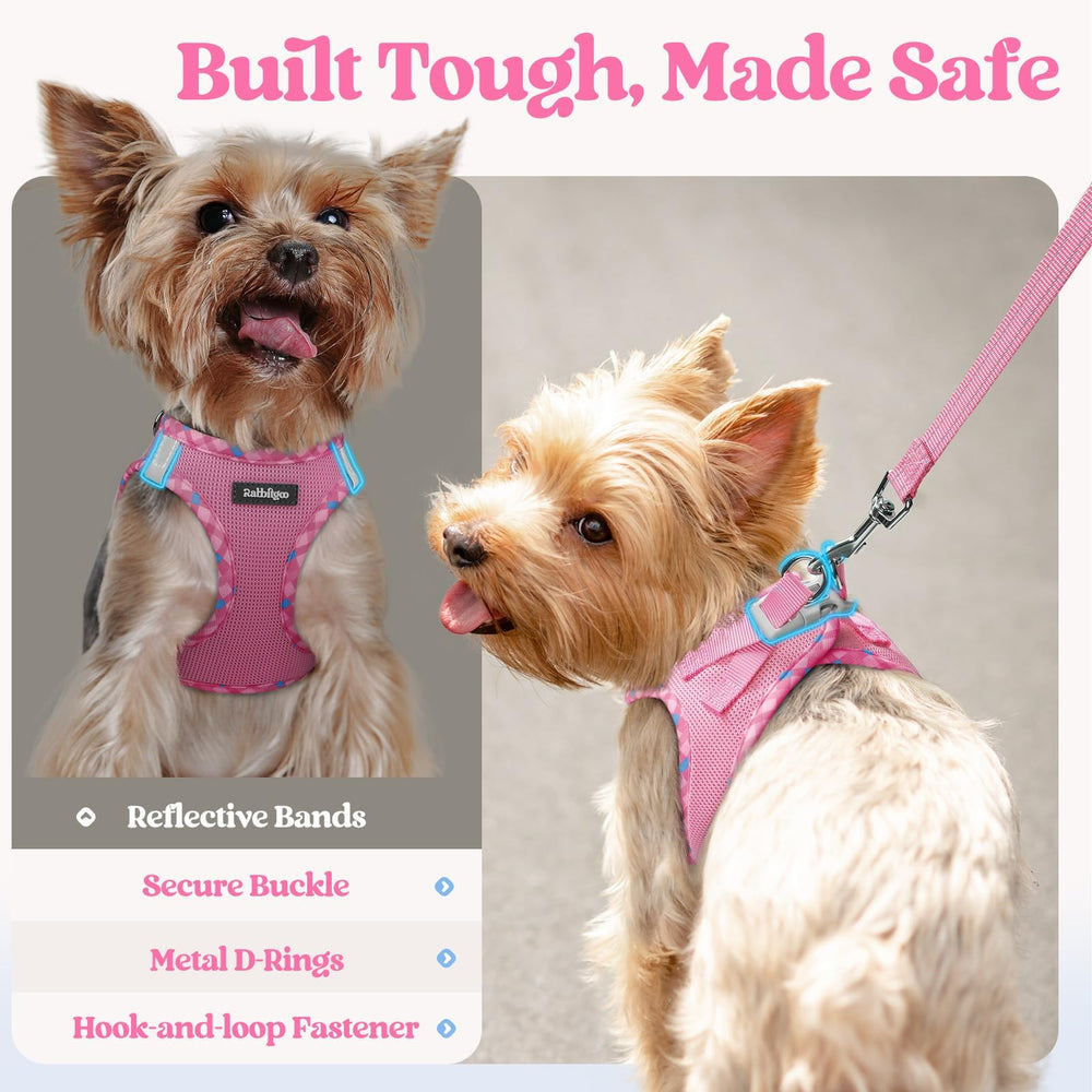 Laisse légère Rabbitgoo, longueur adaptée pour mouvements confortables du petit chien.