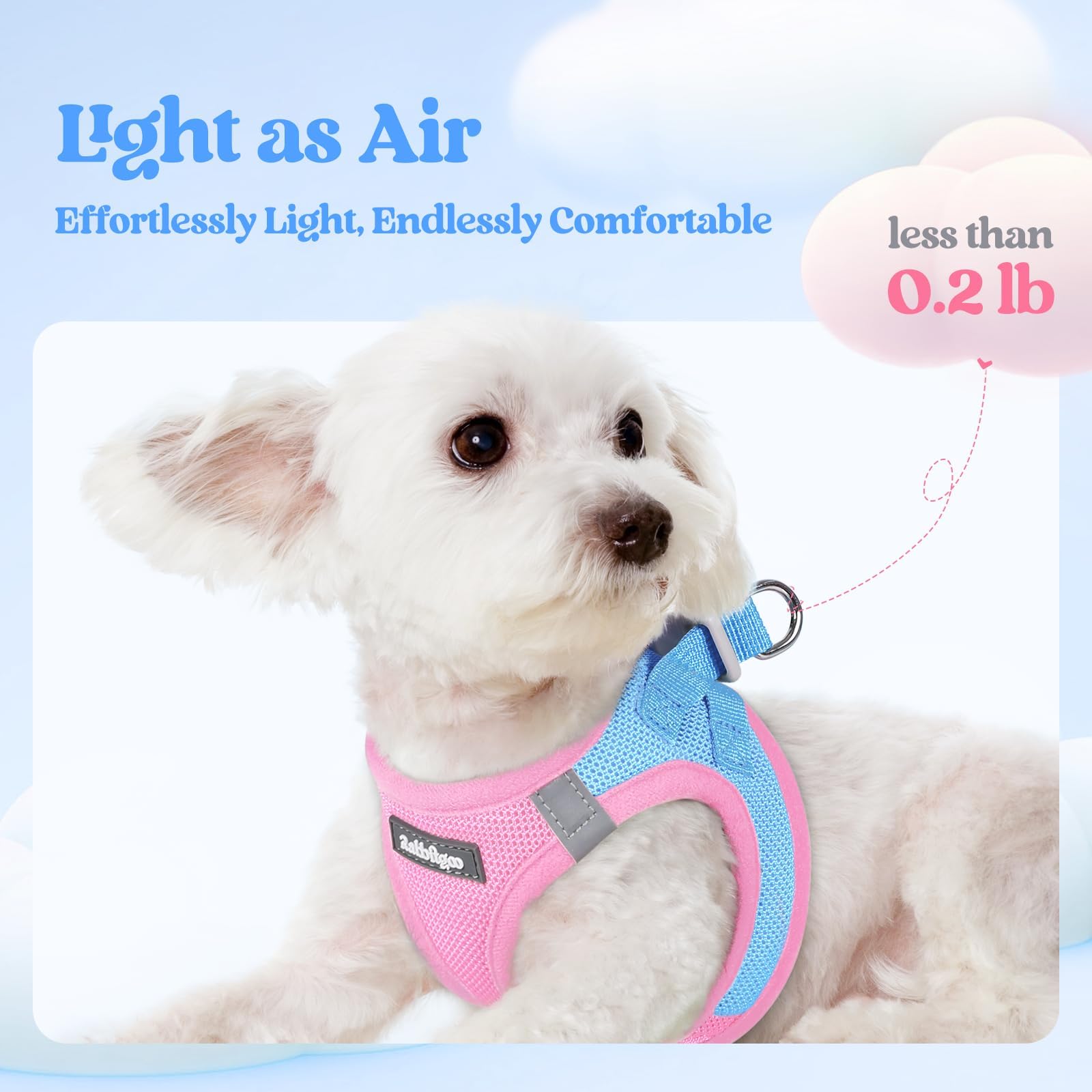 Laisse Rabbitgoo pour petit chien d'environ 1,6 m, anti-entremêlement.