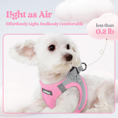 Laisse Rabbitgoo petit chien rose gris, idéale pour sorties coordonnées et visibles.