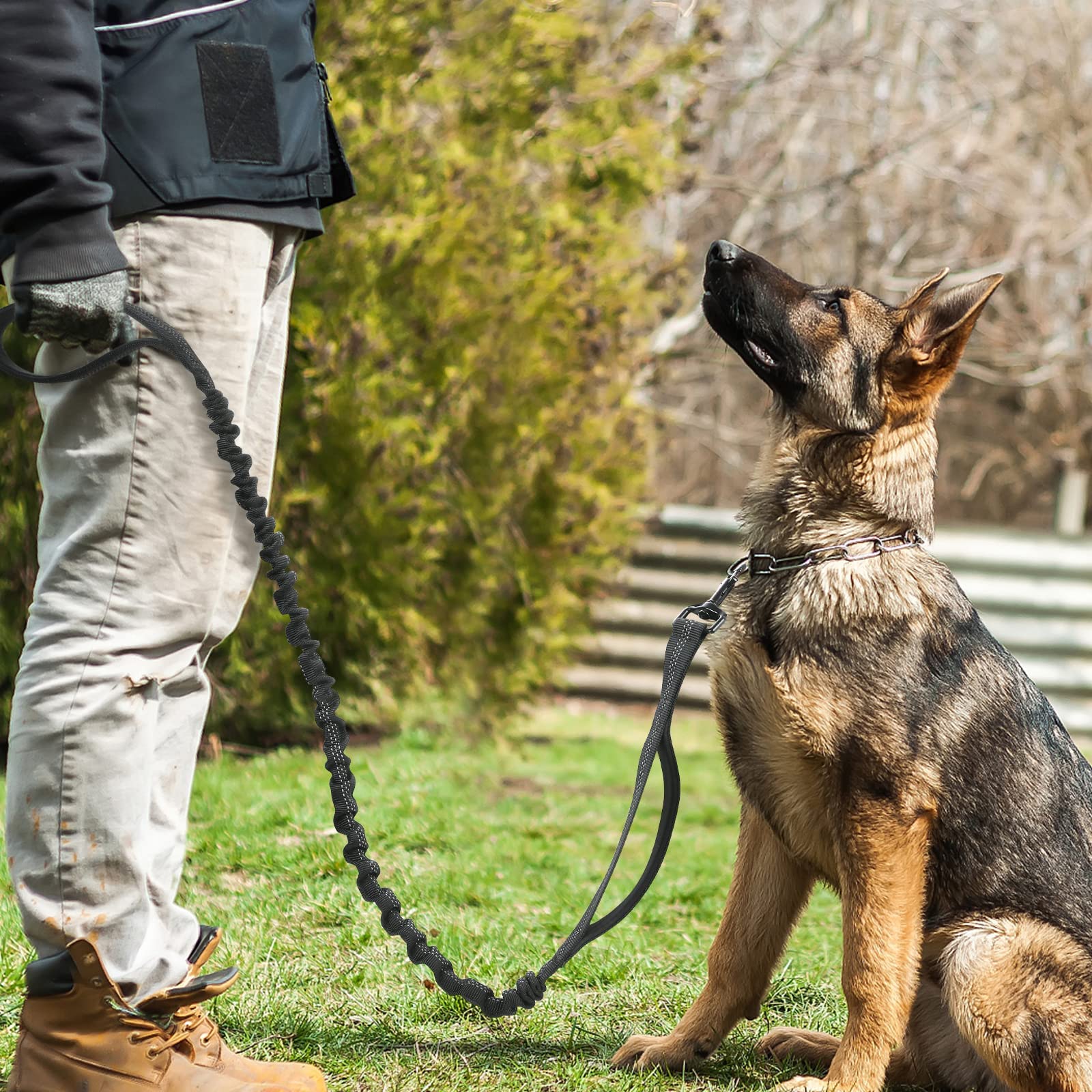 rabbitgoo Laisse en nylon durable pour une utilisation longue en extérieur