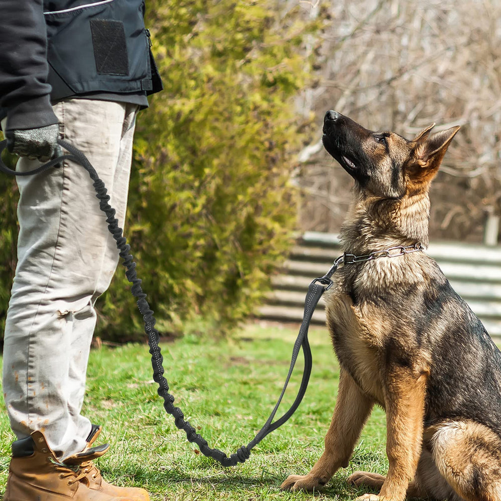 rabbitgoo Laisse en nylon durable pour une utilisation longue en extérieur
