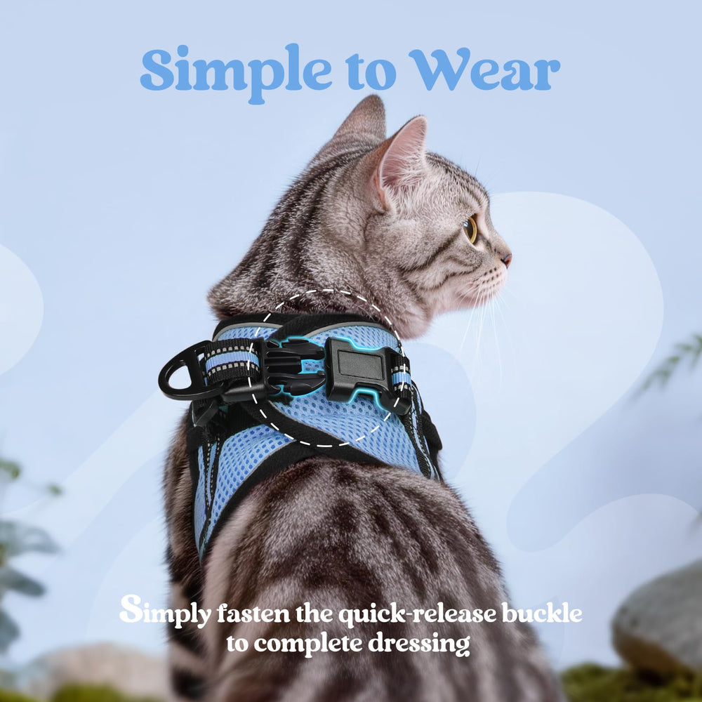 Longe Rabbitgoo de 59 pouces pour promenades faciles et sous contrôle.