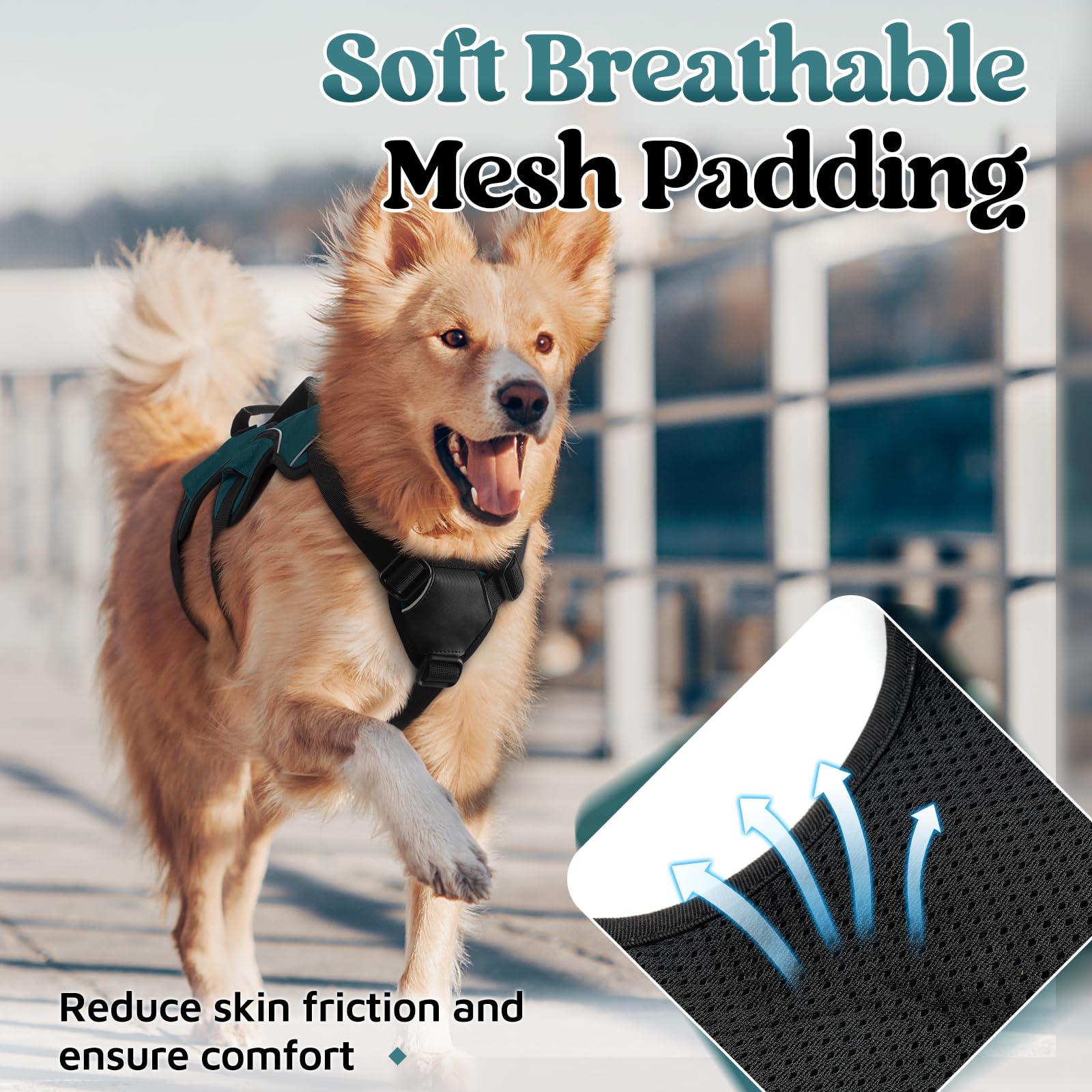 Rembourrage air mesh Rabbitgoo offre confort et friction reduite sur longues balades