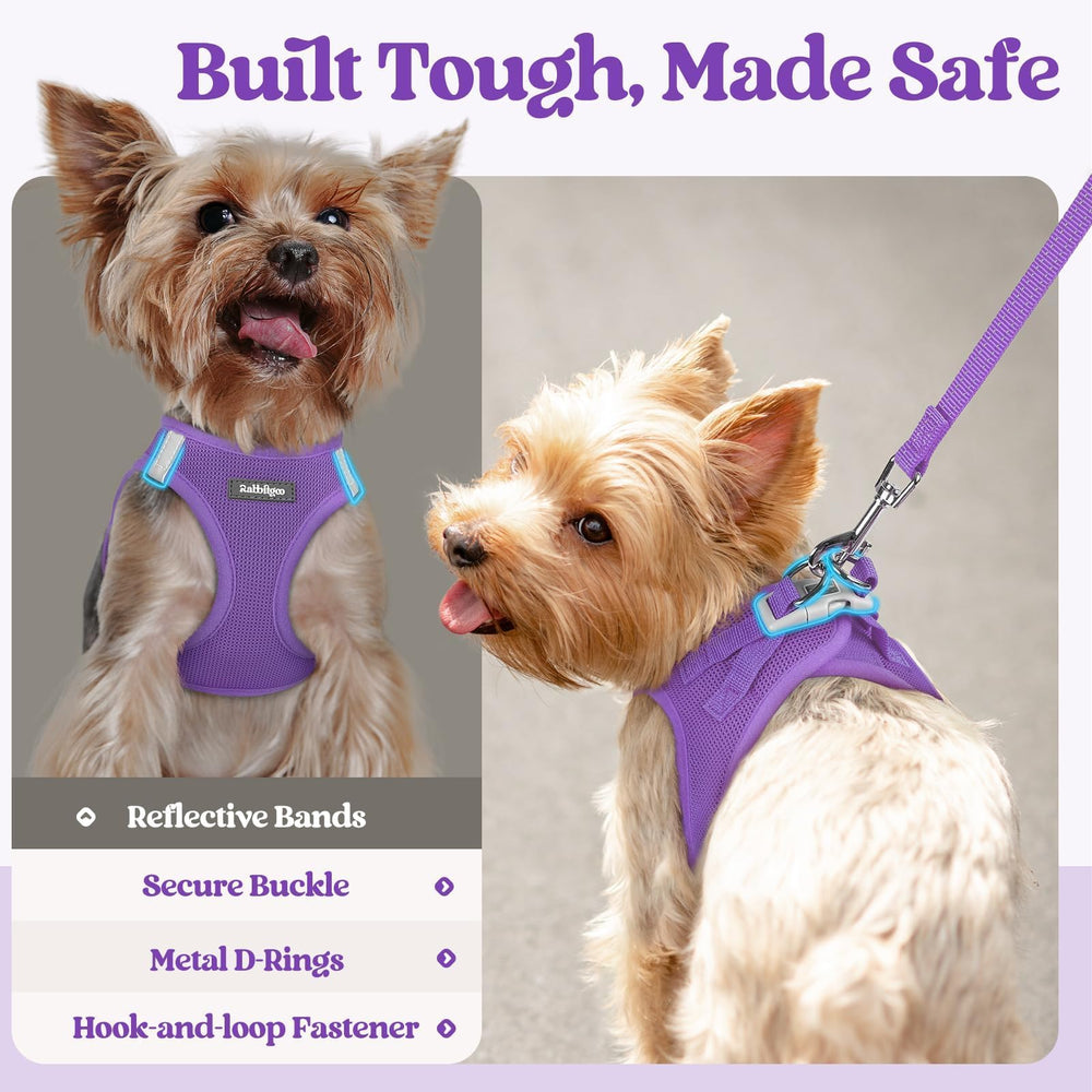 Système sécurité Rabbitgoo combinant velcro et boucle pour un ajustement sûr