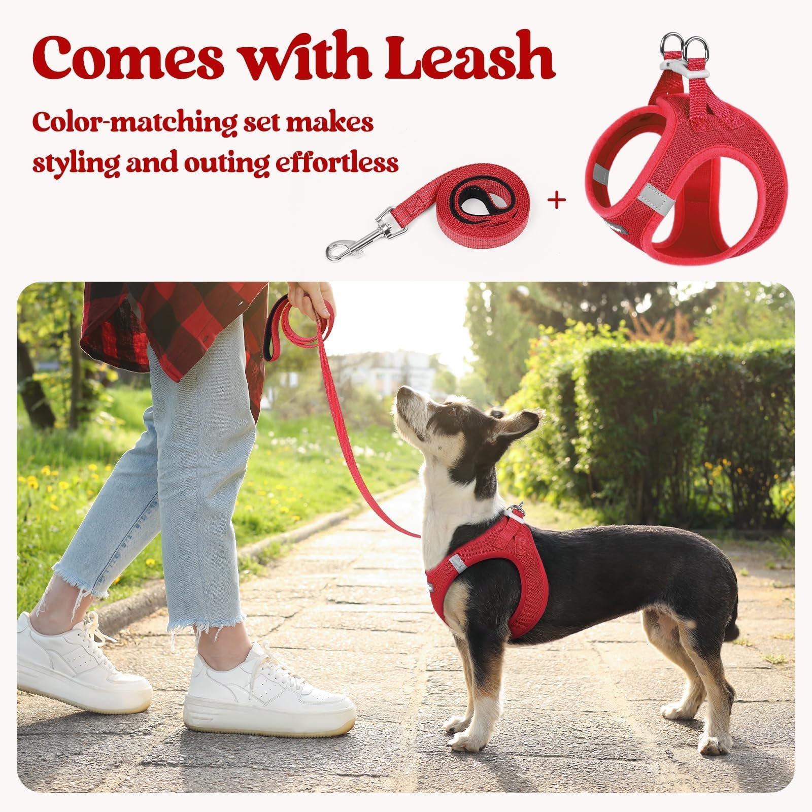 Sangle velcro ajustable Rabbitgoo, ajustement personnalisé et maintien sûr.