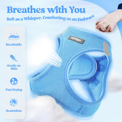 rabbitgoo velcro reglable sur harnais bleu pour un ajustement rapide