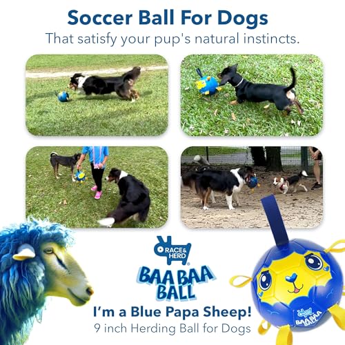 Race&Herd BaaBaaBall avec poignee, pratique pour lancer et récupérer.