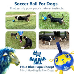 Race&Herd BaaBaaBall avec poignee, pratique pour lancer et récupérer.