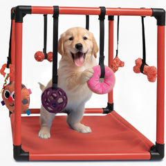 Race&Herd Gym d'eil chiots – parcours jungle stimulant l'exploration et l'exercice.