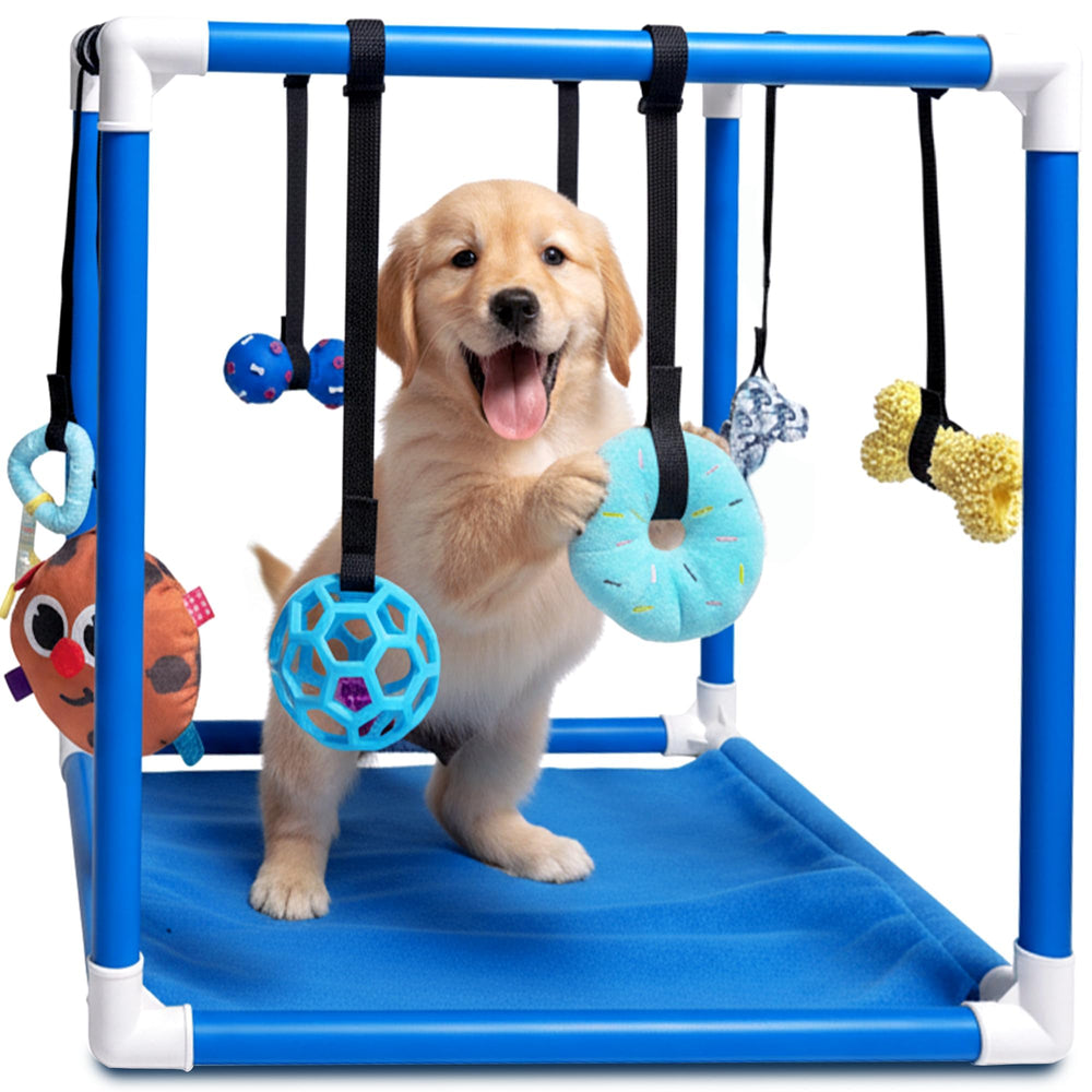 Race&Herd gym chiot tapis-jeu petit chien stimulation physique en intérieur.
