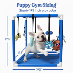 Race&Herd jouets interactifs chiot: 8 éléments pour distraction mentale et exercice.