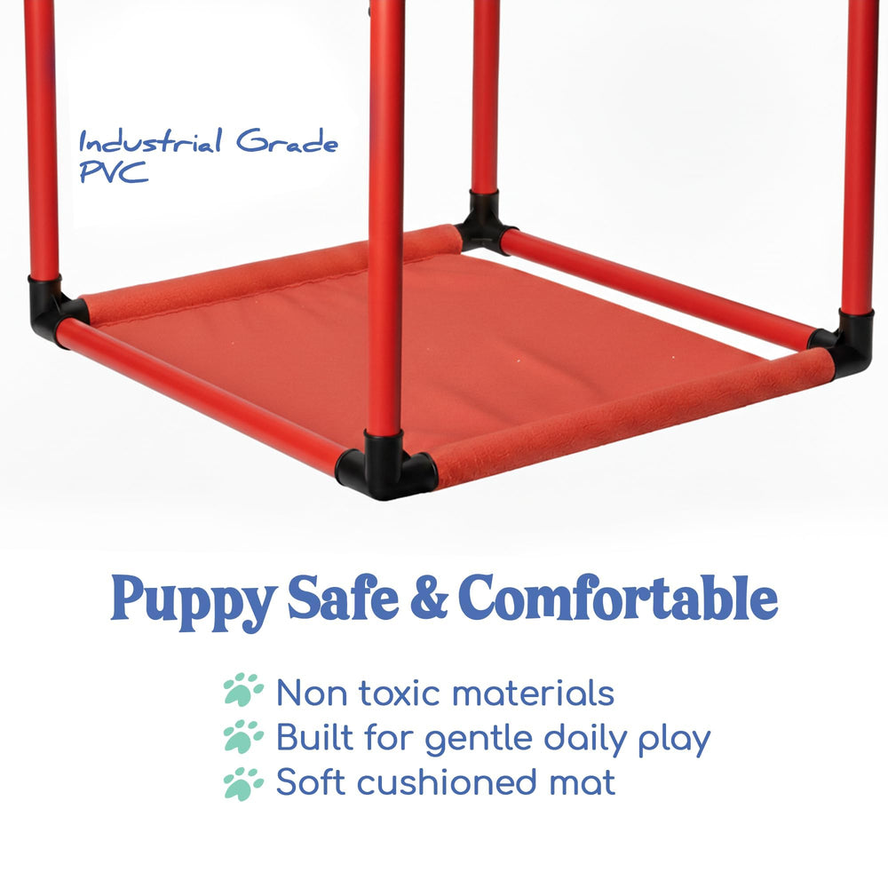 Race&Herd Nose-work jouets – exploration olfactive intuitive pour chiots.