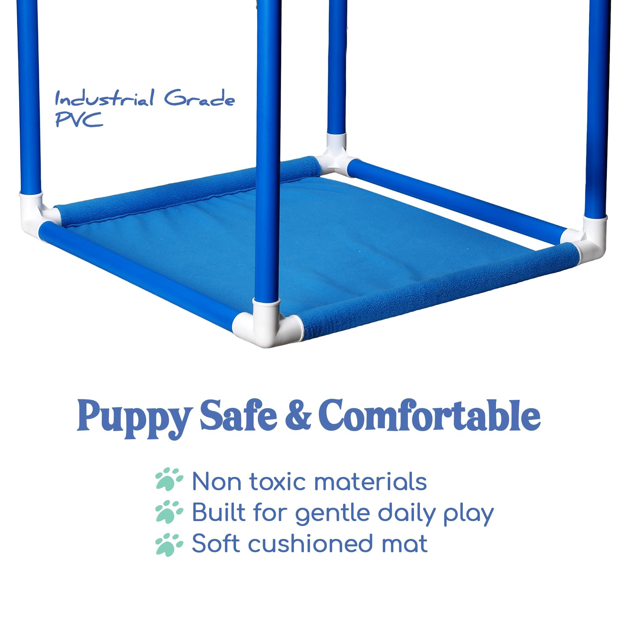 Race&Herd travail-olfactif chiot jouets stimulation olfactive.