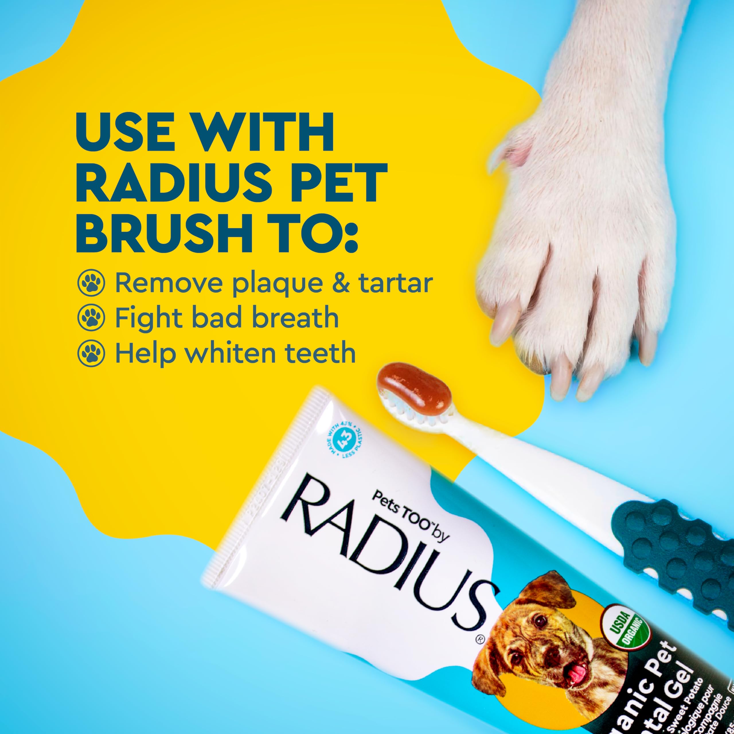 Radius manche brosse dent chien conique pour prise en main
