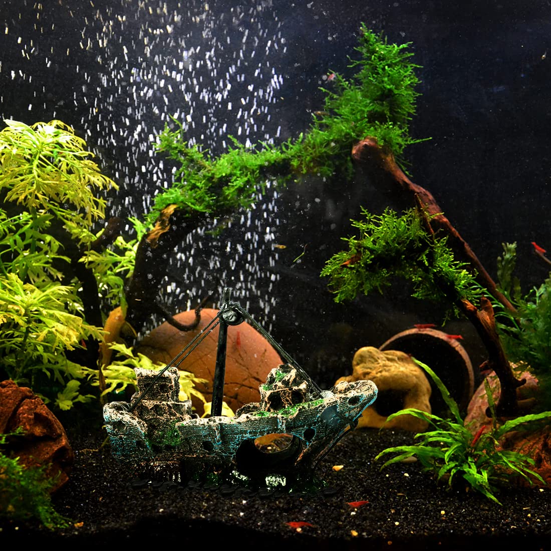 Raeasily navire naufragé – installation stable dans l’aquarium.