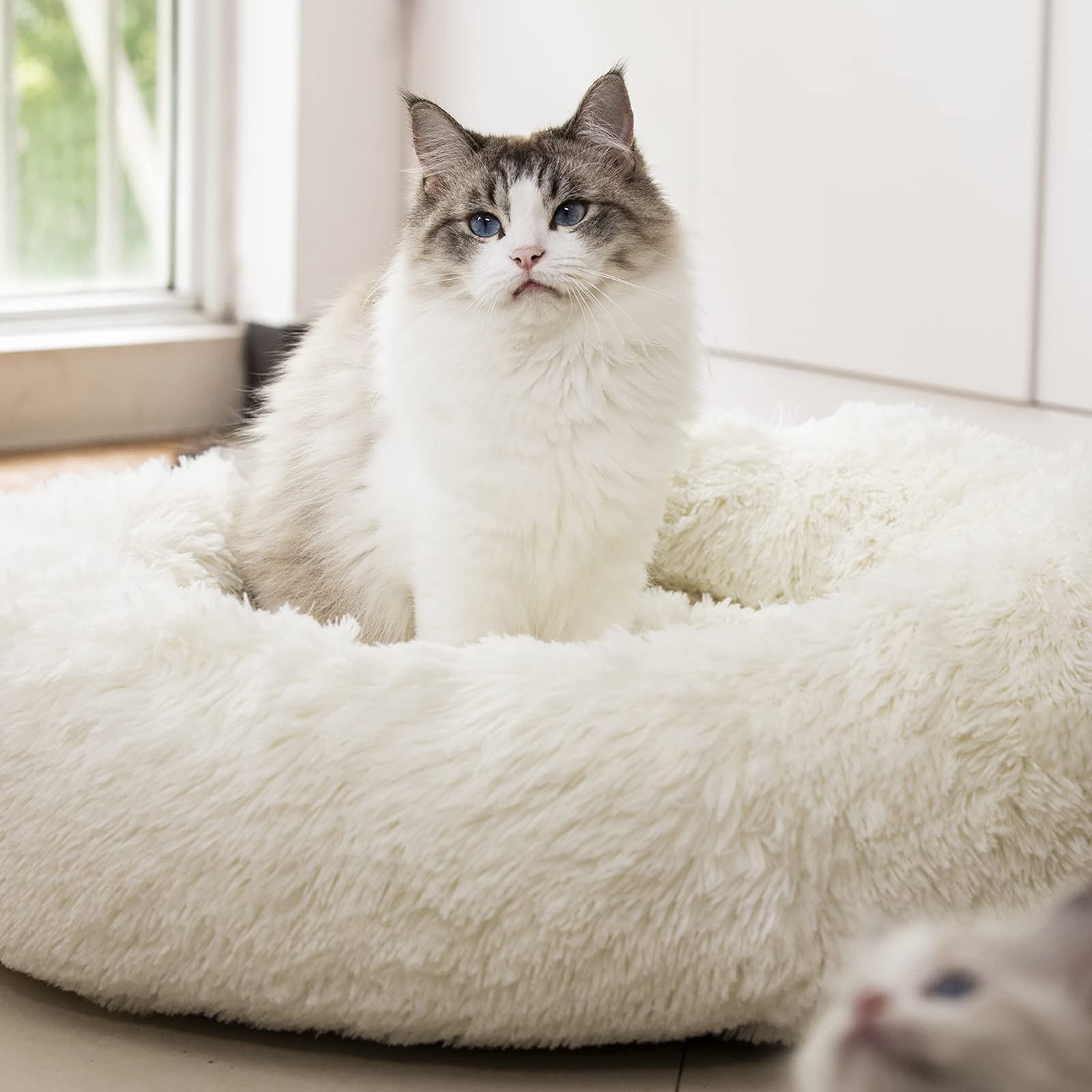 Lit rond Raimaiso en peluche blanche; confort douillet pour chiens et chats.