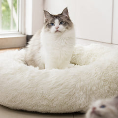Lit rond Raimaiso en peluche blanche; confort douillet pour chiens et chats.