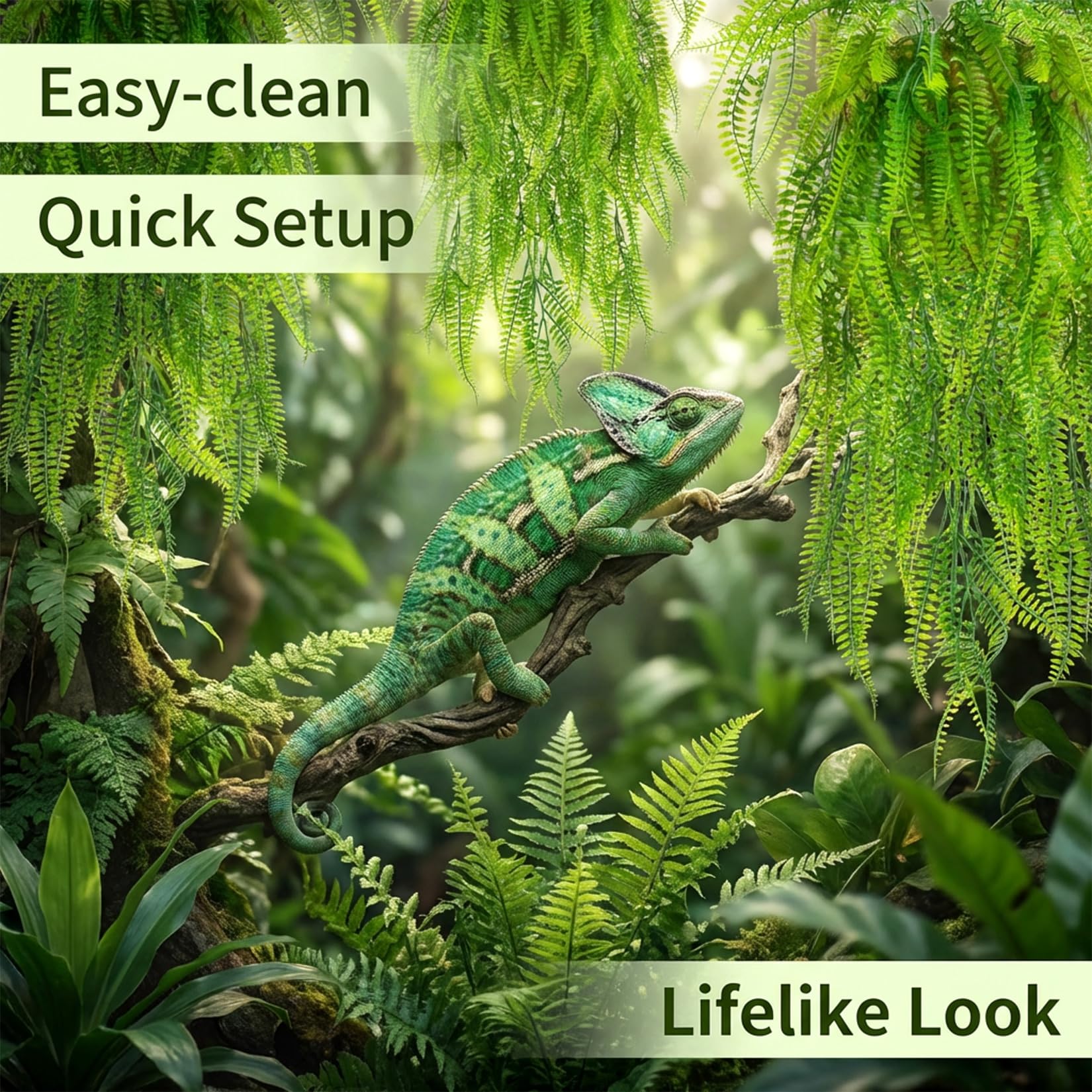 RAINFLOW plantes décor terrarium - pack de 3 pour couvrir le décor