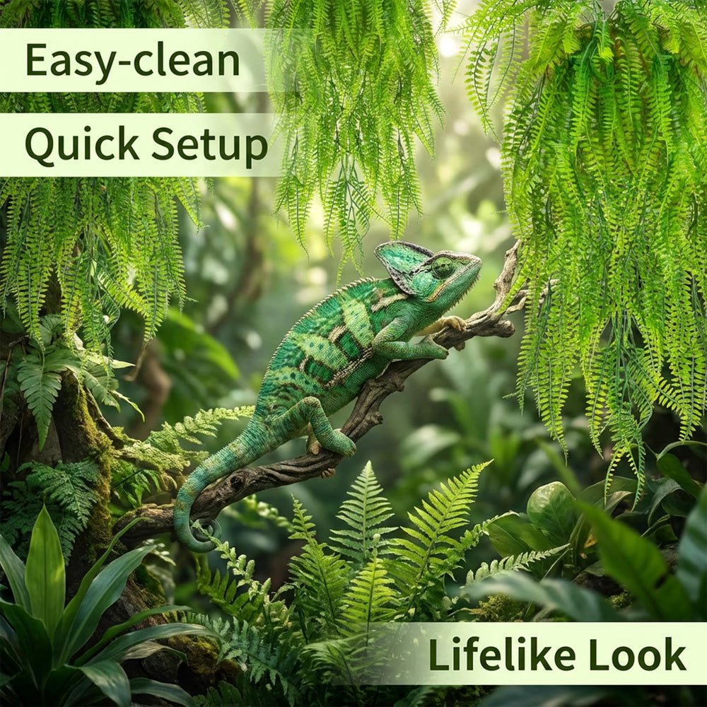 RAINFLOW plantes décor terrarium - pack de 3 pour couvrir le décor