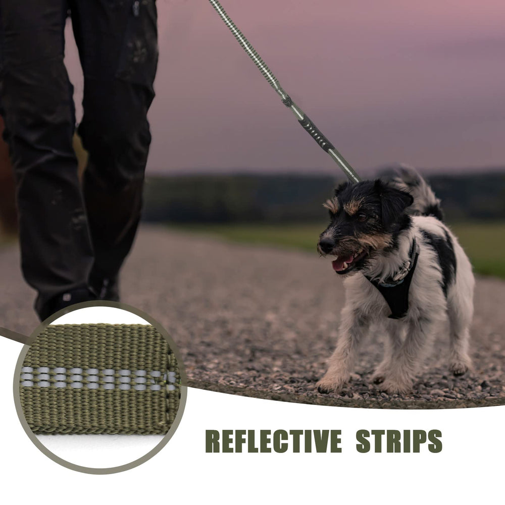 Raipult Laisse Renforts Coutures-X: couture renforcée pour chiens puissants.