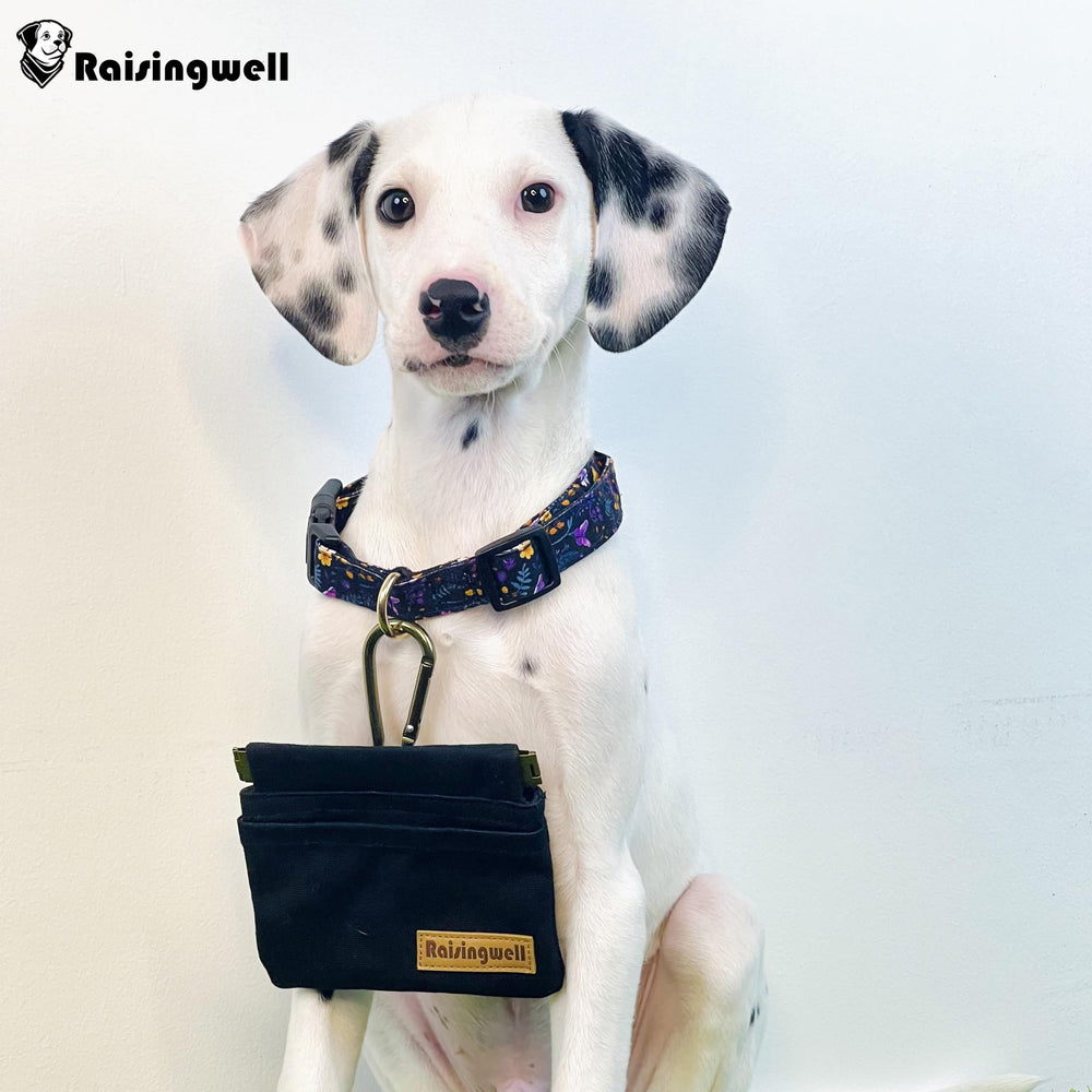 Pochette Raisingwell design coloré et motif pratique pour promenades quotidiennes.