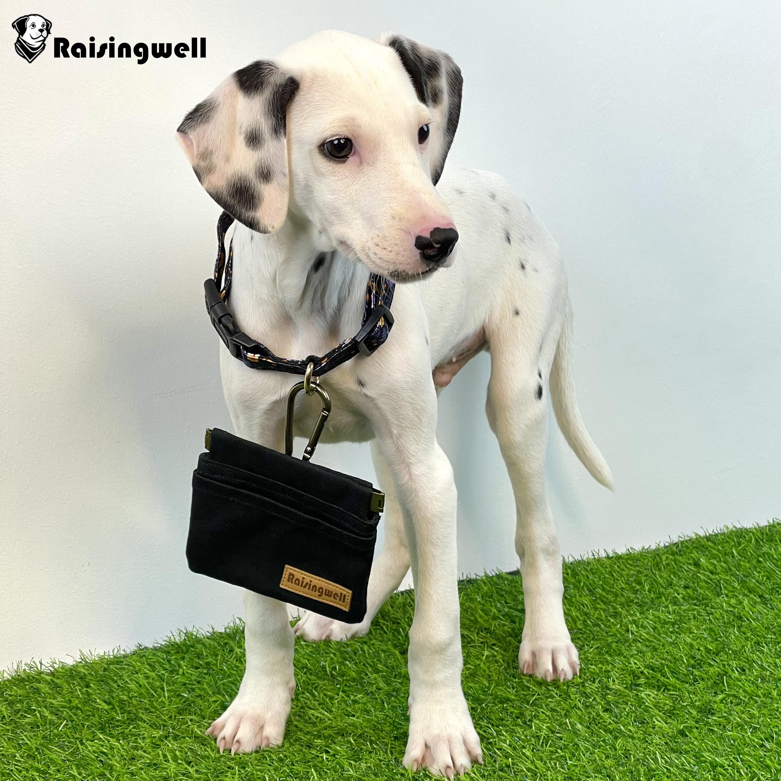 Pochette Raisingwell ouverture automatique, accès rapide aux friandises pendant l’entraînement.