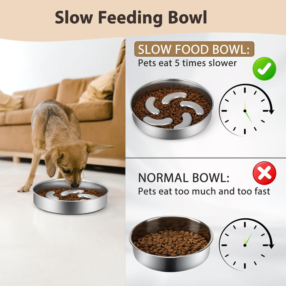 Bol Ralory à grande capacité, adapté aux grands chiens et à l’alimentation lente.