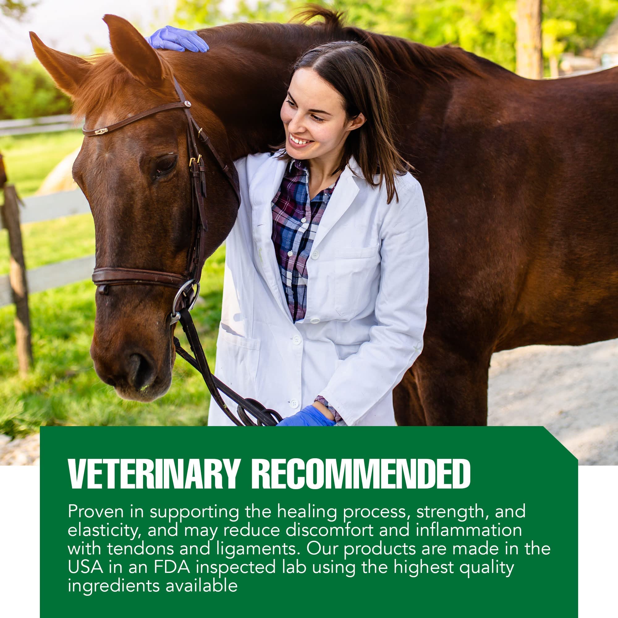 Dosage quotidien de 30 jours pour cheval.