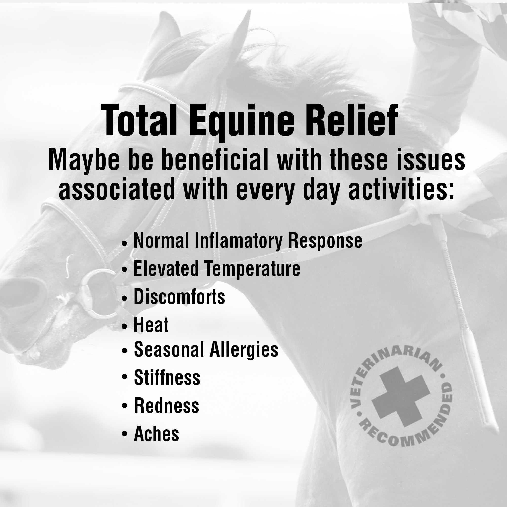 Poudre de soutien tendon cheval, utilisation pratique au quotidien.