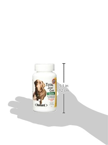 Ramard RAM-CO1: usage quotidien pour chiens actifs et en bonne forme.