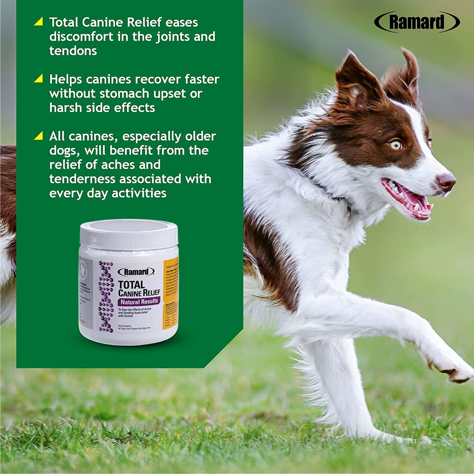 Ramard Total Canine Relief; mobilité et endurance améliorées pour chiens âgés.
