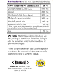 Ramard Total Joint Care – vitamine C pour le soutien structurel des articulations.