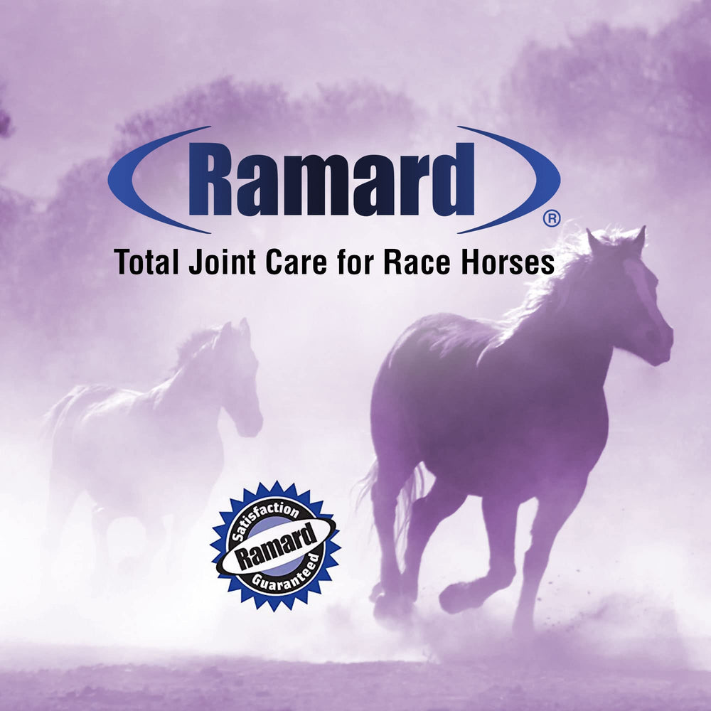 Ramard Total Joint Care – utilisation quotidienne pour le bien-être articulaire.
