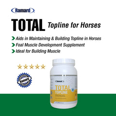 Ramard Total Topline Poudre, cheval en mouvement, soutien musculaire potentiel après l'effort.