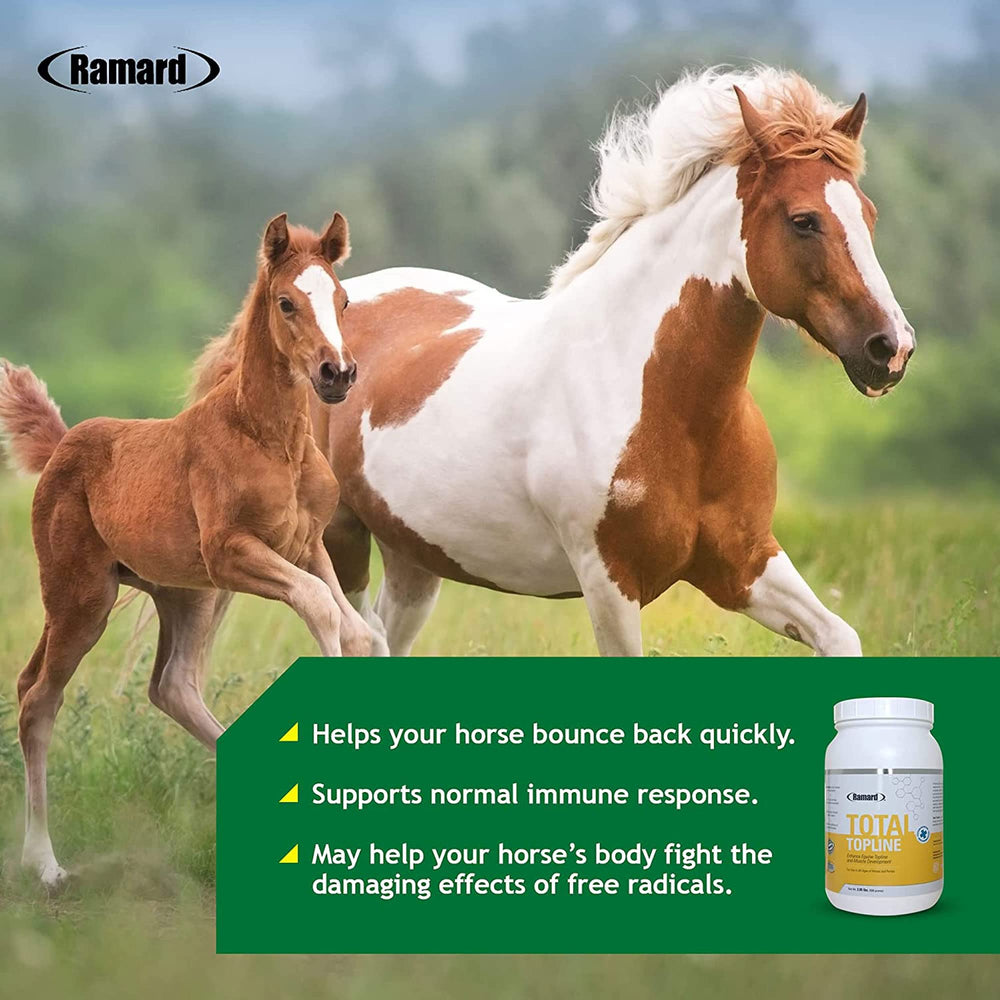 Ramard Total Topline Poudre, dosage pratique intégré à l'alimentation.