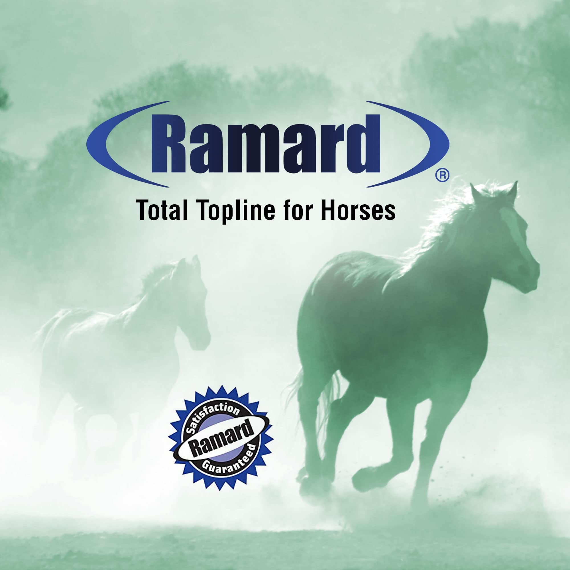 Ramard Total Topline Poudre, convient poulains et chevaux performants lors d'entraînements.