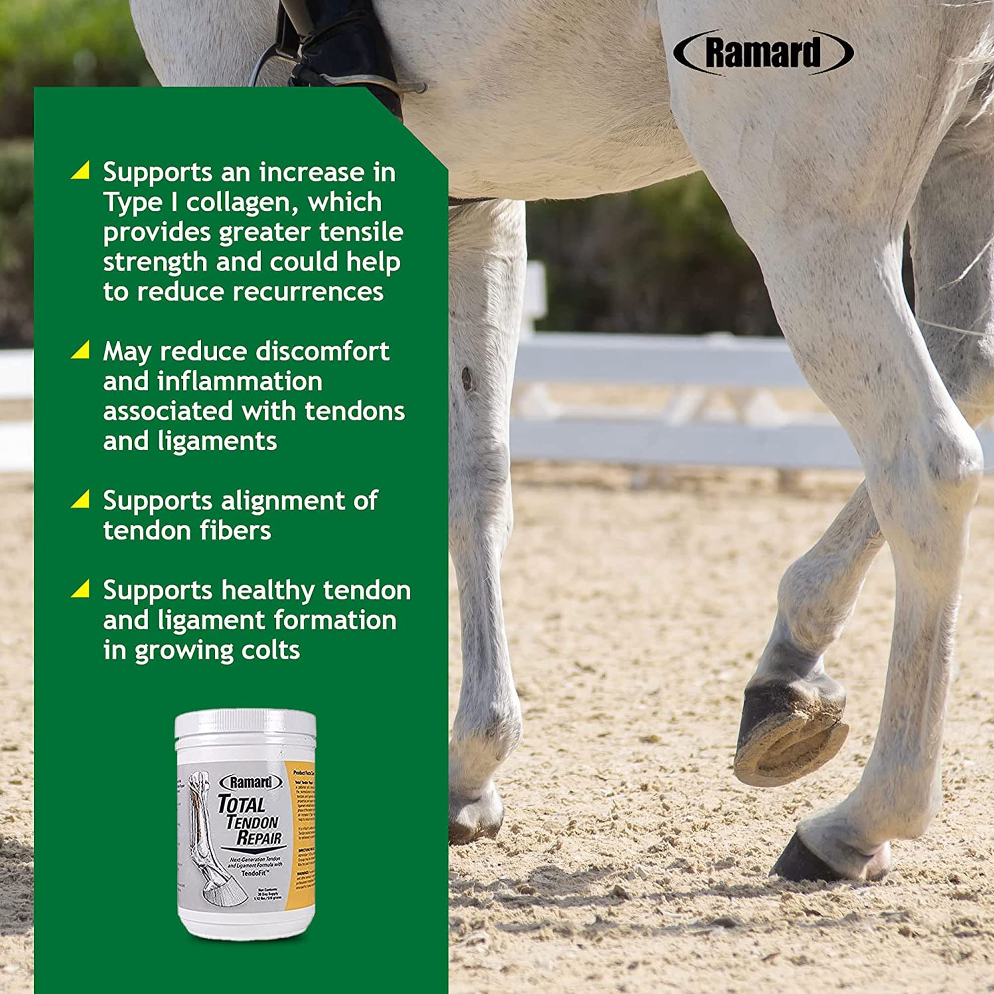 Vitamine C, collagène et MSM dans la poudre pour cheval.