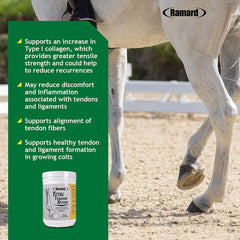 Vitamine C, collagène et MSM dans la poudre pour cheval.