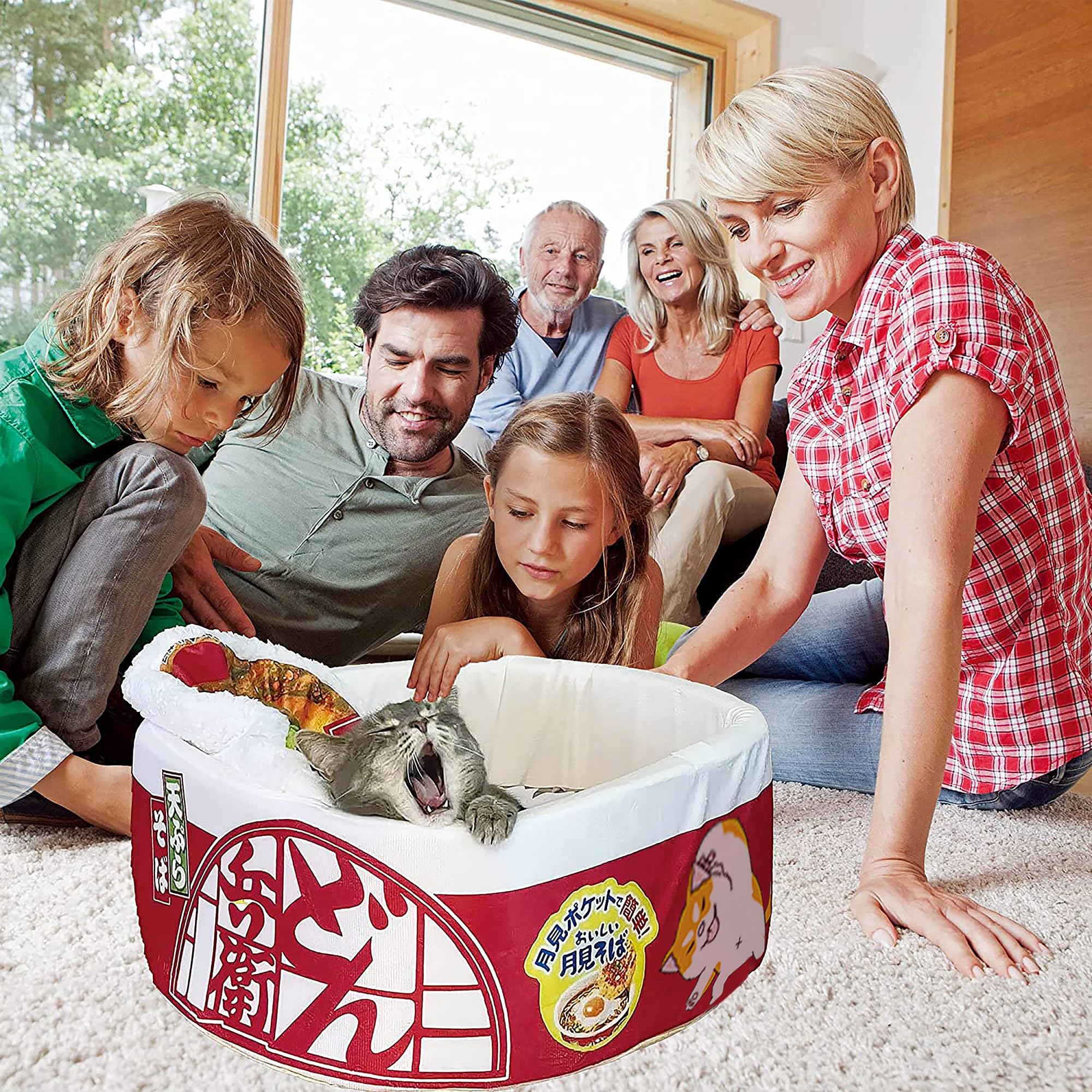 寵幸 ramen-nid-utilisation-interieur : parfait pour usage intérieur et moments calmes.